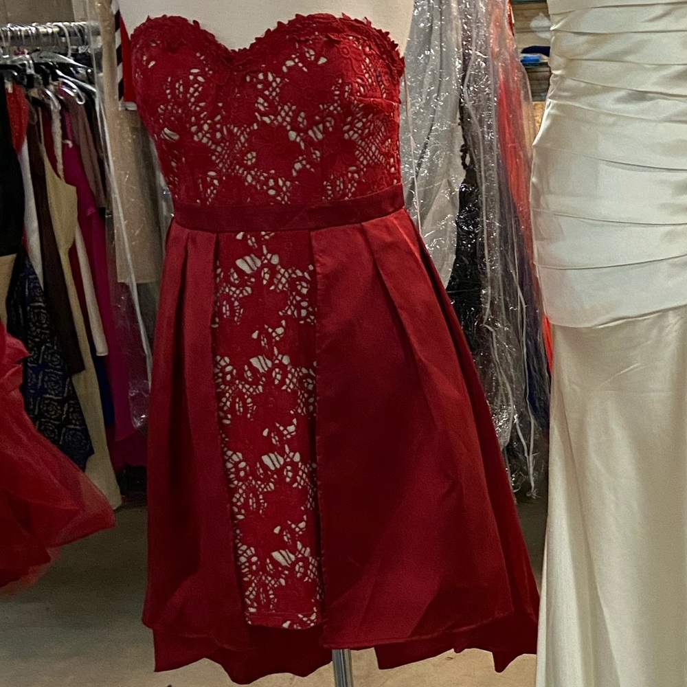 Brand new mini dress, size large